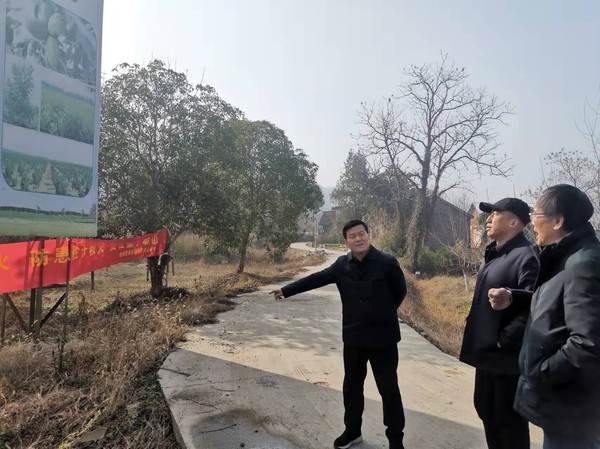 调研.jpg